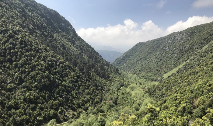 Therapeutic Hike: A day away from the city with lots of fun activities.