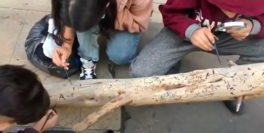 Collective creation by Rami. Reclaiming public spaces with street art and an opportunity for everyone to interact and express themselves through collective pieces and spontaneous prompts!